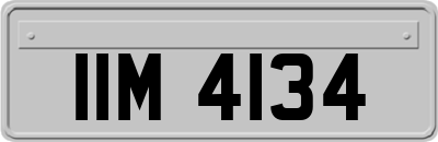 IIM4134