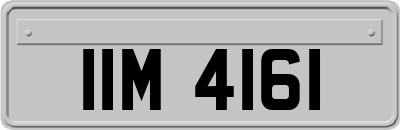 IIM4161