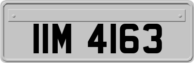 IIM4163