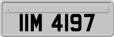 IIM4197