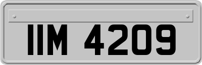 IIM4209