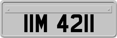IIM4211