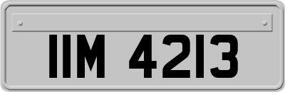 IIM4213