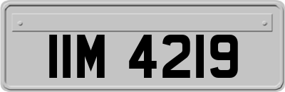 IIM4219