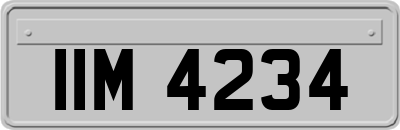 IIM4234