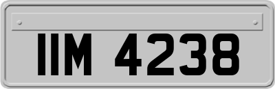 IIM4238