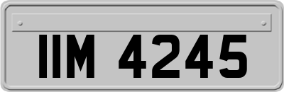 IIM4245