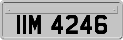 IIM4246