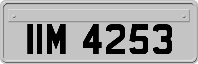 IIM4253