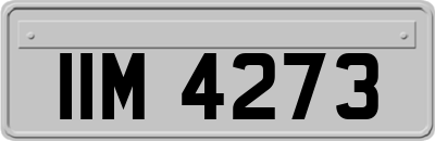 IIM4273