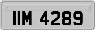 IIM4289