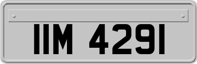 IIM4291