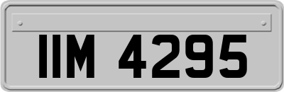 IIM4295