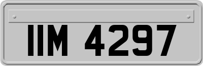 IIM4297