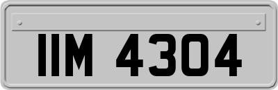 IIM4304
