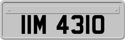 IIM4310