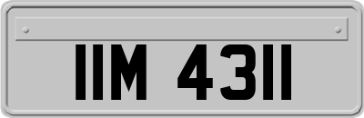 IIM4311
