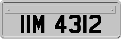 IIM4312