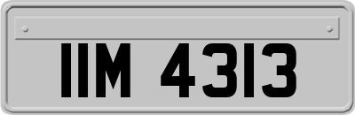 IIM4313