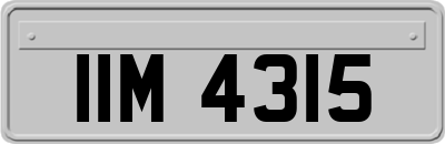 IIM4315