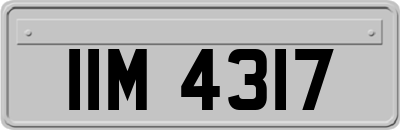 IIM4317