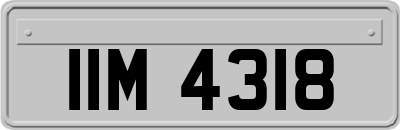 IIM4318
