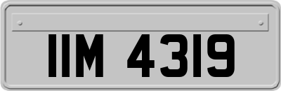 IIM4319