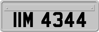 IIM4344