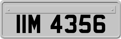 IIM4356