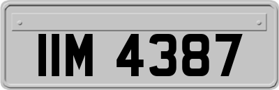 IIM4387