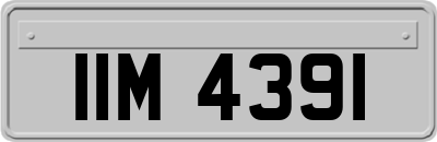 IIM4391