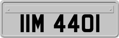 IIM4401