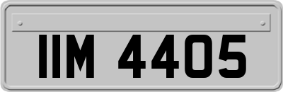 IIM4405