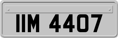 IIM4407