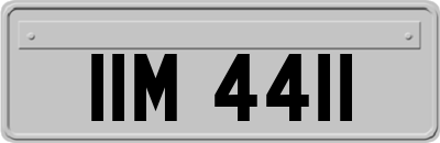 IIM4411