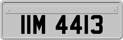 IIM4413