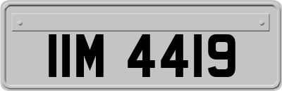 IIM4419