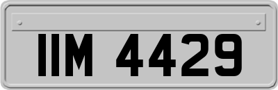 IIM4429