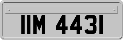 IIM4431