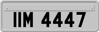IIM4447