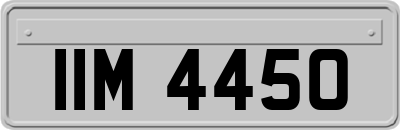 IIM4450