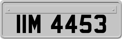 IIM4453