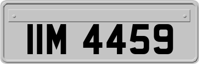 IIM4459