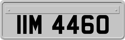 IIM4460