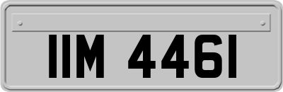 IIM4461