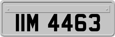 IIM4463