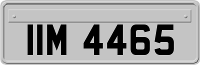 IIM4465