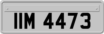 IIM4473