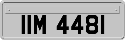 IIM4481