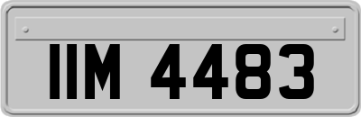 IIM4483